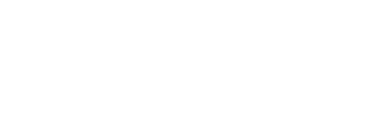 Ellis Strategies logo light